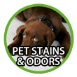 Absolutely Clean® Carpet Shampoo & Stain Remover cleans pet stains and removes odors on carpet, upholstery, leather and more.