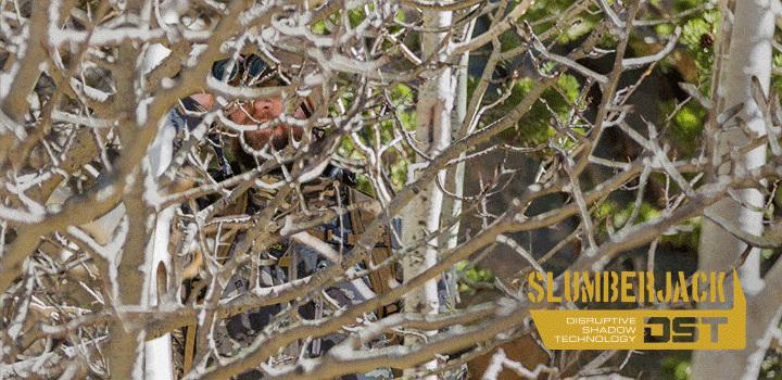 sjk-fall-55-v2.gif sjk-fall-55-v2.gif